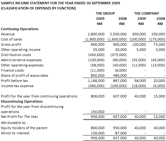 income statement example for small business.2010 sample Income Statement.